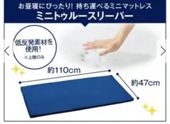 トゥルースリーパー ごろ寝マット (ミニトゥルースリーパー)