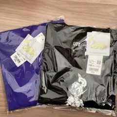 匿名配送❄︎ポケモン UT Tシャツ 2枚セット 130ソウブレイズ ゲンガー