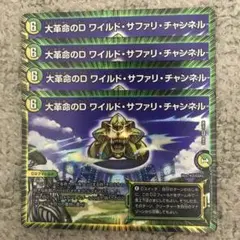 ワイルドサファリチャンネル　➁