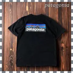patagoniaパタゴニア P-6ロゴレスポンシビリティTシャツM
