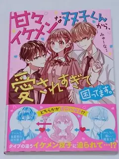 【お値下げ⭕️】甘々イケメンな双子くんから、愛されすぎて困ってます。 恋愛小説