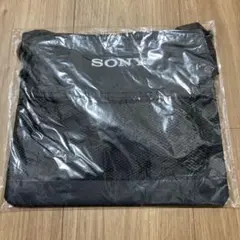Item thumbnail for item e580b5d9-6839-4a31-937d-2f8127ad1ad6