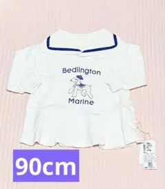 Item thumbnail for item 713085db-fc00-42a4-8be6-cf0a8189261a