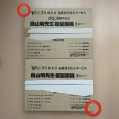 DQ30周年記念　鳥山明先生　ドラゴンクエストI〜VI　複製原稿　開封済み 2025年最新】Vジャンプ 鳥山明 原稿の人気アイテム - メルカリ