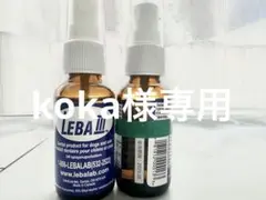 Item thumbnail for item f32cbde7-358f-42c1-9a4e-76d0d650ab8b