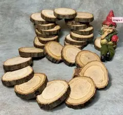 Item thumbnail for item fd3dcbd0-dd7f-4bb1-a17a-1fc0cdbd46f6