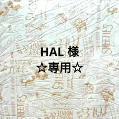 HAL 様 専用