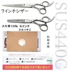 5点 スキ率10% すきばさみ 7インチ ヘアカットハサミ 美容師 散髪 シザー