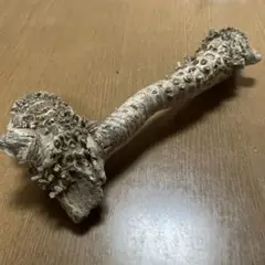 Item thumbnail for item 203ee11a-f74f-4382-9661-da93432e6d8b