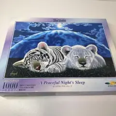 0629☆シム・シメール ジグソーパズル トータルエクリプス