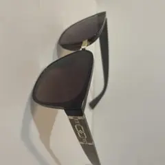 ブラックフレーム ブラウンレンズ サングラス