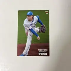 176mの伊藤大海