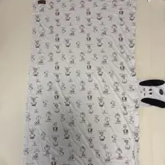 Item thumbnail for item a90dc1a1-ff10-4da8-8edf-548a211b0cd1