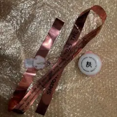 SMTOWN カイ　アクキー　セット
