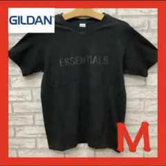ギルダン ESSENTIALS エッセンシャルズ Tシャツ メンズ M