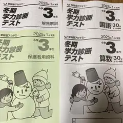 2025年1月　小3冬期学力診断テスト