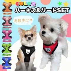 マゼンタXL ハーネス リード 犬用品 猫用品 散歩 避難 脱走防止 人気
