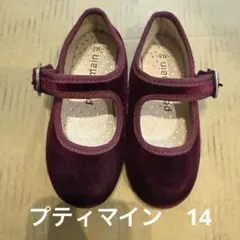プティマイン　ベロア生地　14