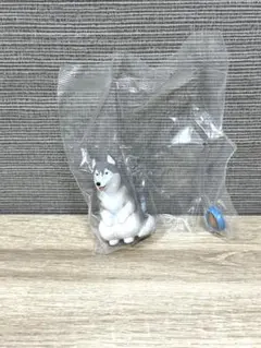 【まてぼうけ 犬3】シベリアン・ハスキー