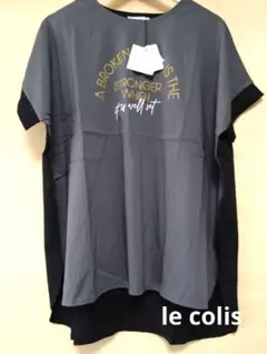 le colis 接触冷感 消毛天竺 ロゴTシャツ F