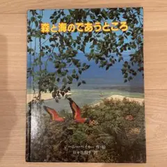 森と海のであうところ