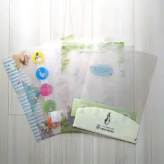 Item thumbnail for item 030ca2a6-ae9e-4e62-993c-96fbf3f72a54