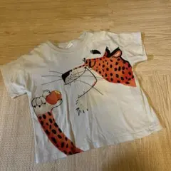 zara kids 2-3y