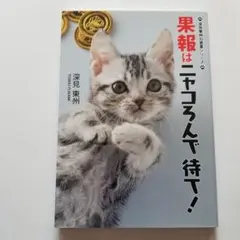 果報はニャコろんで待て!
