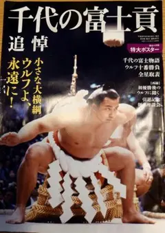 千代の富士BBM直筆サイントレーディングカード　横綱　力士　相撲　激レア希少品 Amazon.co.jp: 千代の富士 トレーディングカード 横綱 力士 相撲