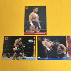 新日本プロレス トレーディングカード 2000 天龍源一郎 トレカ