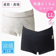 犬印本舗 SH2554 快適らくちんショーツ マタニティショーツ 新品 2枚
