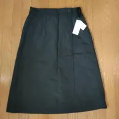 Item thumbnail for item 1e8455cf-3de5-43a4-9aec-1eb9d9e82d12