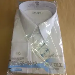 Item thumbnail for item d74a3c8c-4845-4a5f-b916-c399013ef04c