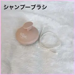 Item thumbnail for item 069bacba-4cff-4b50-ba8a-0496c7d329df