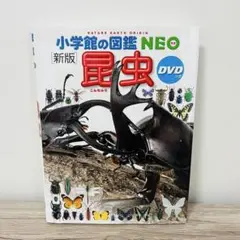 小学館の図鑑NEO 昆虫　【DVDなし】　新版