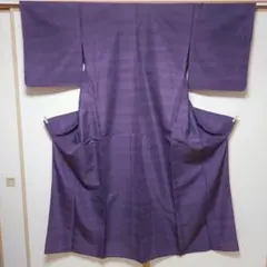 美品　夏着物　小紋着物　単衣　広衿　紗織　洗える　裄67cm　丈164cm