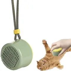 Item thumbnail for item 571b1699-f535-424e-9cc1-8b9d881b1064
