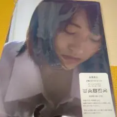 武田玲奈　両面抱き枕カバー160cm×50cm 新品未使用