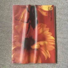 蜷川実花 / Acid Bloom