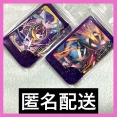 ポケモンフレンダ ピック 2枚セット④