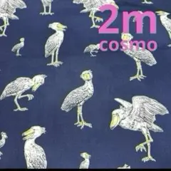 【特価】3枚限り★オックス★ハシビロコウ★ネイビー★