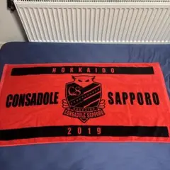 CONSADOLE SAPPORO タオル 2019年