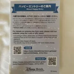 ディズニー ハッピーエントリー 12/30 大人1枚