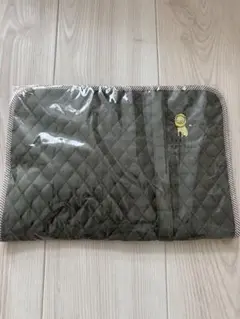 Item thumbnail for item 6cc6dcc0-e8cf-452d-bf82-69e189180384