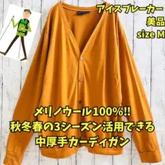 【美品】Icebreaker/アイスブレーカー/100%メリノウールカーディガン icebreaker(アイスブレーカー) U Merino Mountain Sport