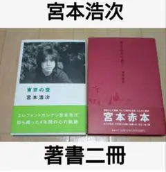宮本浩次「東京の空」 宮本浩次(エレファントカシマシ)『東京の空』 | 宮本 浩次 |本