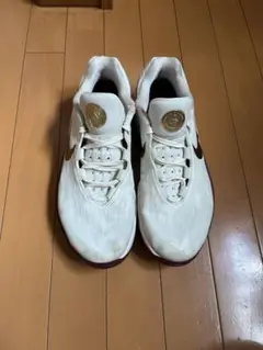 NIKE AirZoom G.T.CUT2 GTカット2