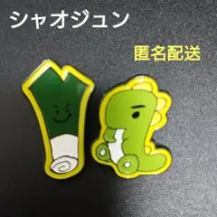 シャオジュン　xiaojun　ランダムピンバッジ　wayv no way out