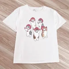 UNIQLO ユニクロ　mofusand モフサンド　半袖Tシャツ　160