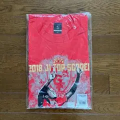 受注生産【未開封】ジョー選手2018年Ｊ１得点王記念Tシャツ　Mサイズ